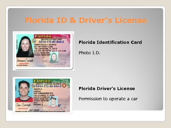 Florida ID & Driver’s License Florida Identification Card Photo I. D. Florida Driver’s License