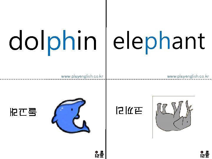 dolphin elephant www. playenglish. co. kr 코끼리 돌고래 