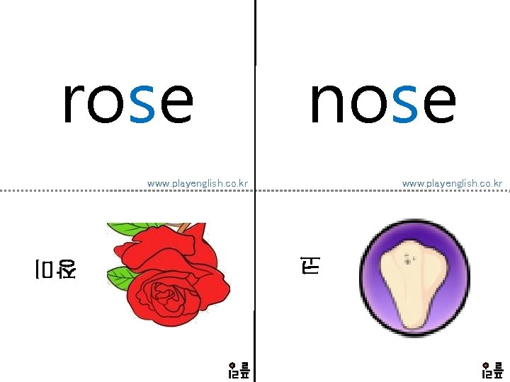 rose nose www. playenglish. co. kr 코 장미 