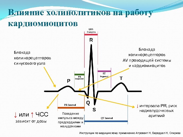 Влияние холинолитиков на работу кардиомиоцитов Блокада холинорецепторов AV проводящей системы и кардиомиоцитов Блокада холинорецепторов