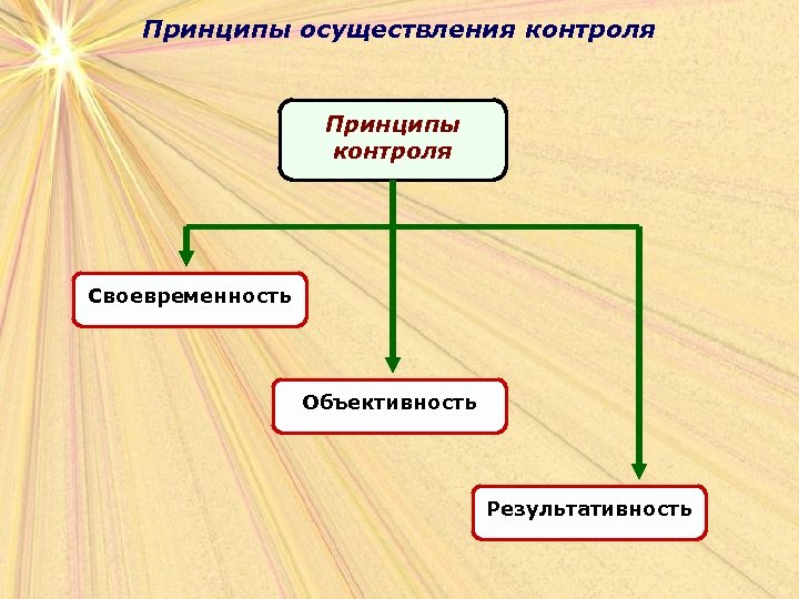 Принципы осуществления контроля Принципы контроля Своевременность Объективность Результативность 