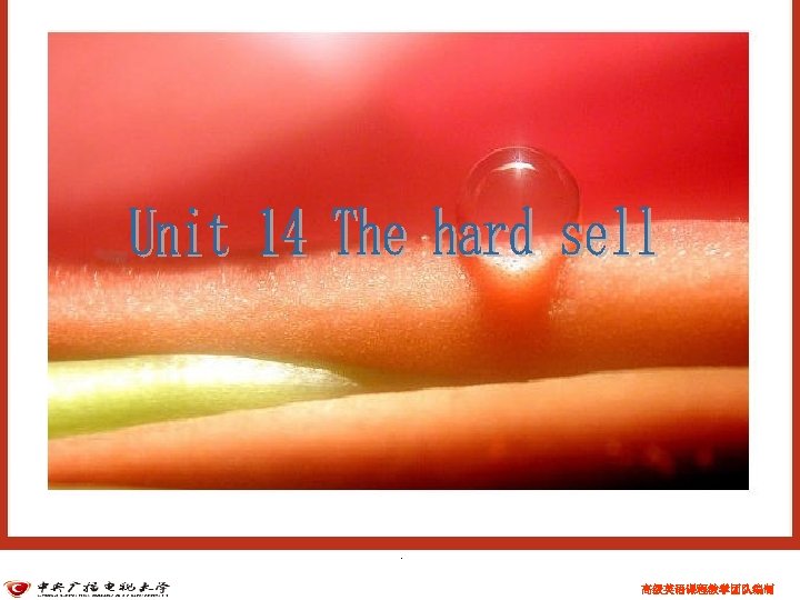 . . 高级英语课程教学团队编制 