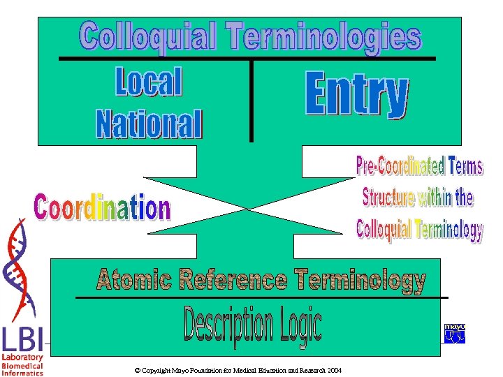 © Copyright Mayo Foundation for Medical Education and Research 2004 