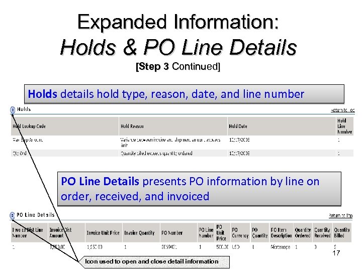 Expanded Information: Holds & PO Line Details [Step 3 Continued] Holds details hold type,