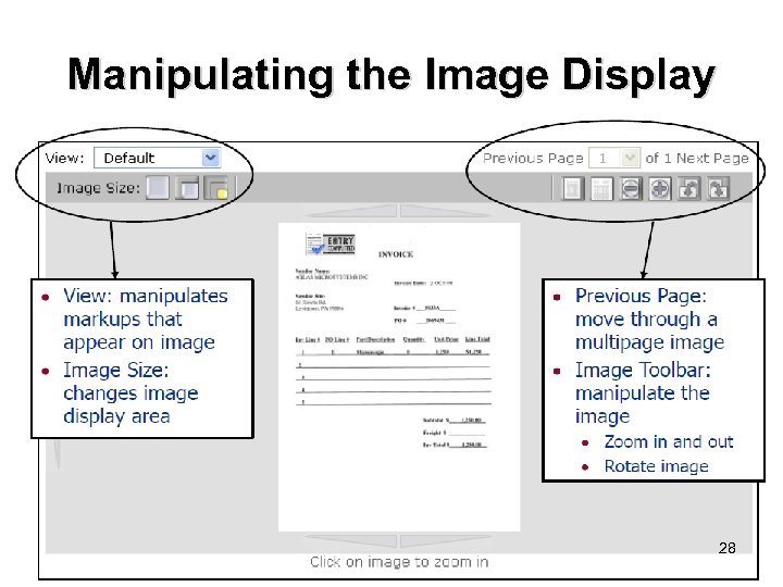 Manipulating the Image Display 28 