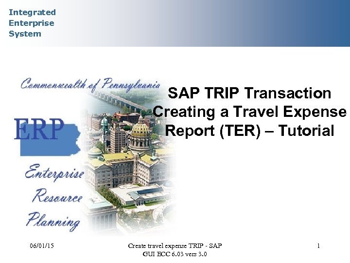 Integrated Enterprise System SAP TRIP Transaction Creating a Travel Expense Report (TER) – Tutorial