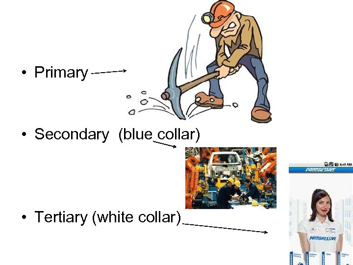  • Primary • Secondary (blue collar) • Tertiary (white collar) 