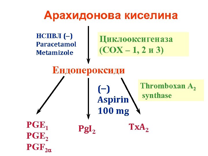 Арахидонова киселина НСПВЛ (-) Paracetamol Metamizole Циклооксигеназа (COX – 1, 2 и 3) Ендопероксиди