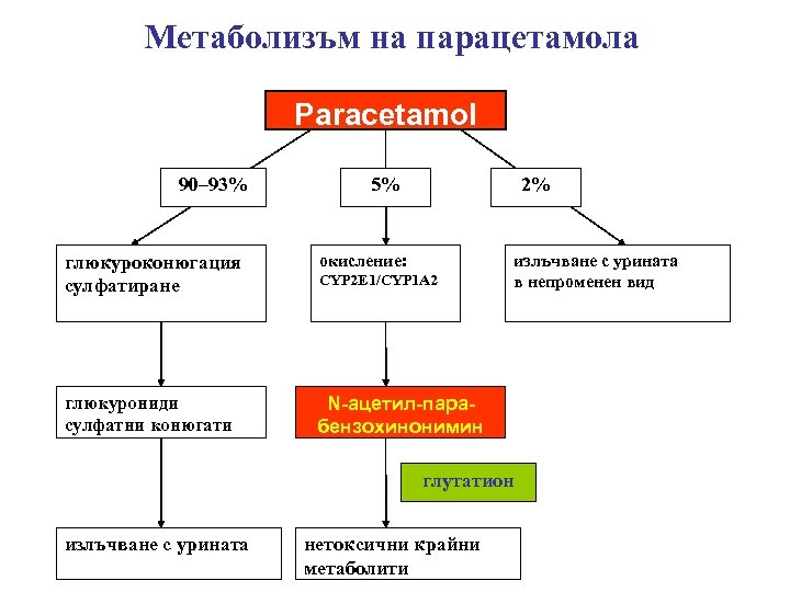 Метаболизъм на парацетамола Paracetamol 90– 93% 5% 2% глюкуроконюгация сулфатиране окисление: глюкурониди сулфатни конюгати