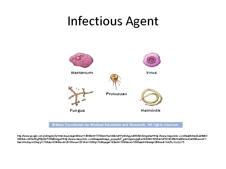 Infectious Agent http: //www. google. com. jm/imgres? q=Infectious+agent&biw=1280&bih=737&tbm=isch&tbnid=Py. Wxhgyxd 0 f 0 VM: &imgrefurl=http: