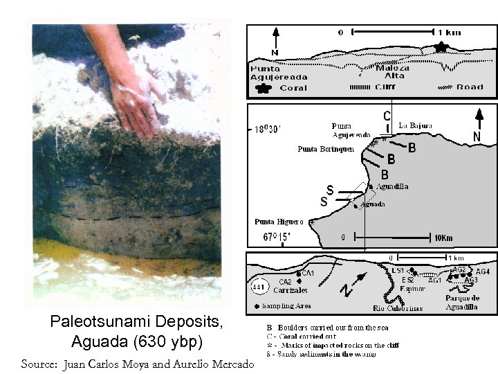 Paleotsunami Deposits, Aguada (630 ybp) Source: Juan Carlos Moya and Aurelio Mercado 