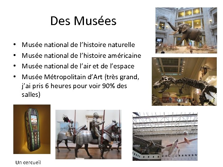 Des Musées • • Musée national de l’histoire naturelle Musée national de l’histoire américaine
