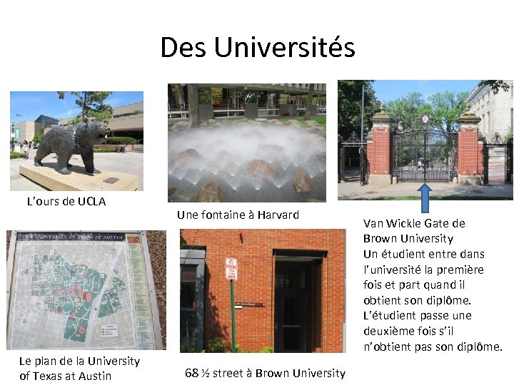 Des Universités L’ours de UCLA Le plan de la University of Texas at Austin