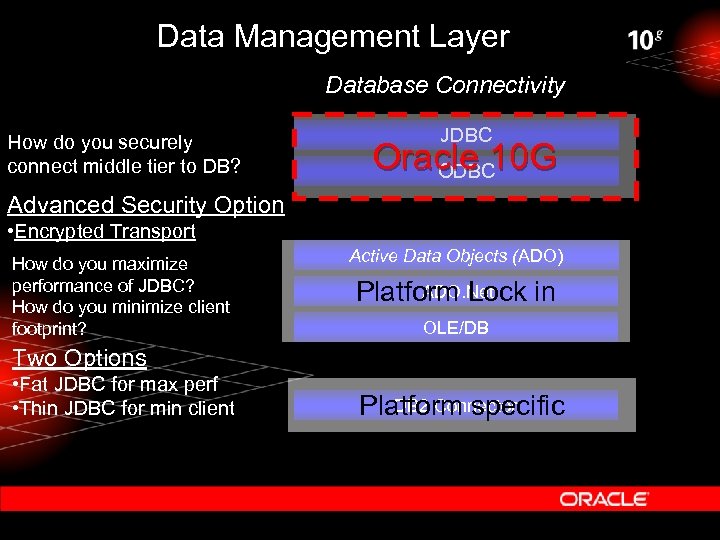 oracle 10g advanced security option
