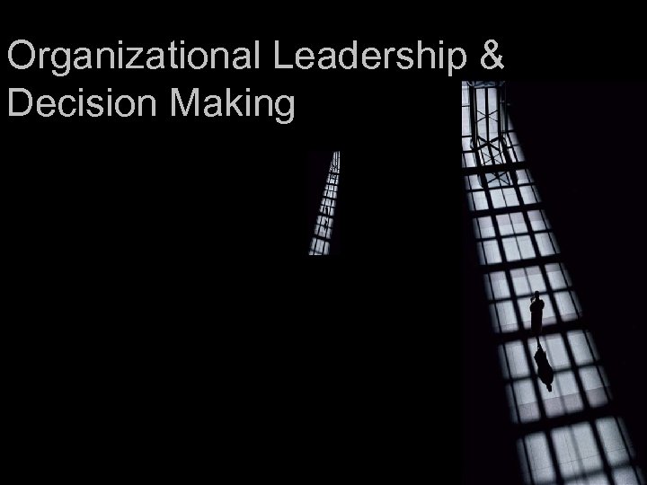 Organizational Leadership & Decision Making 