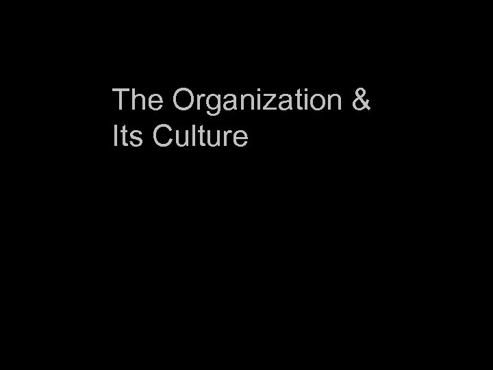 The Organization & Its Culture 