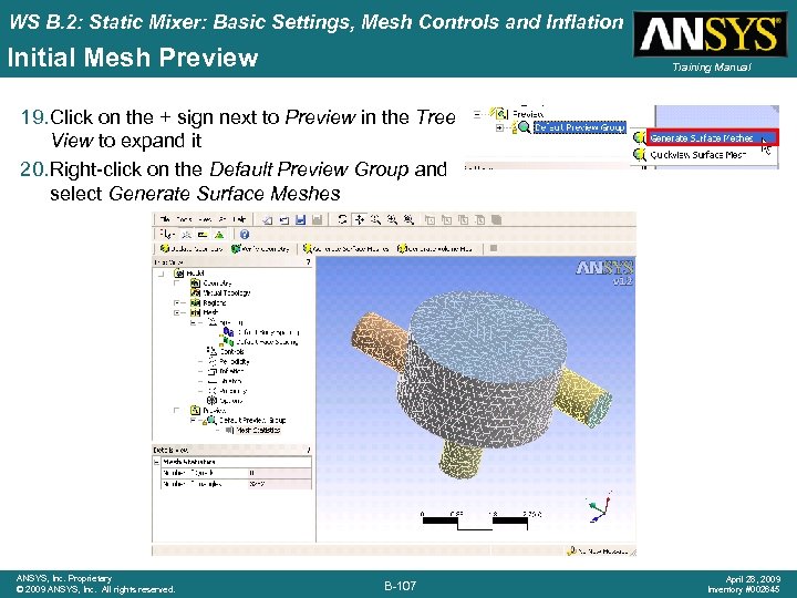WS B. 2: Static Mixer: Basic Settings, Mesh Controls and Inflation Initial Mesh Preview