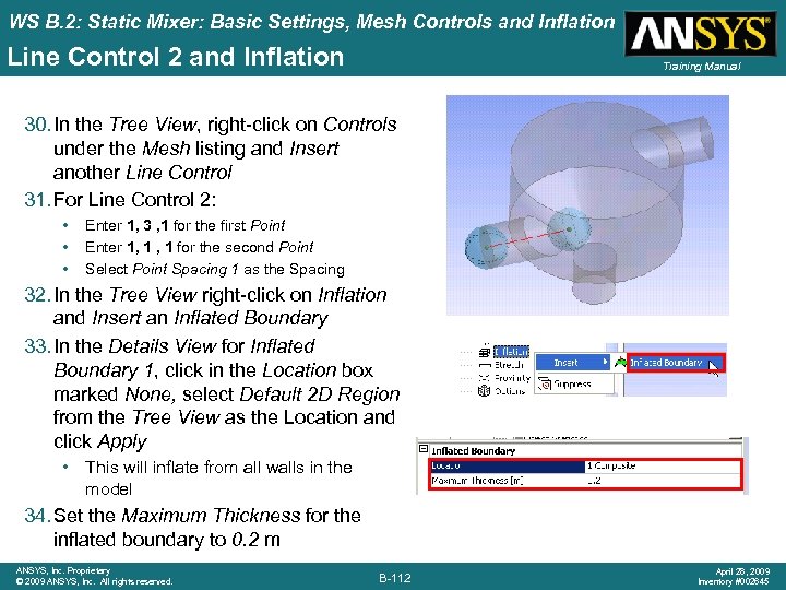 WS B. 2: Static Mixer: Basic Settings, Mesh Controls and Inflation Line Control 2