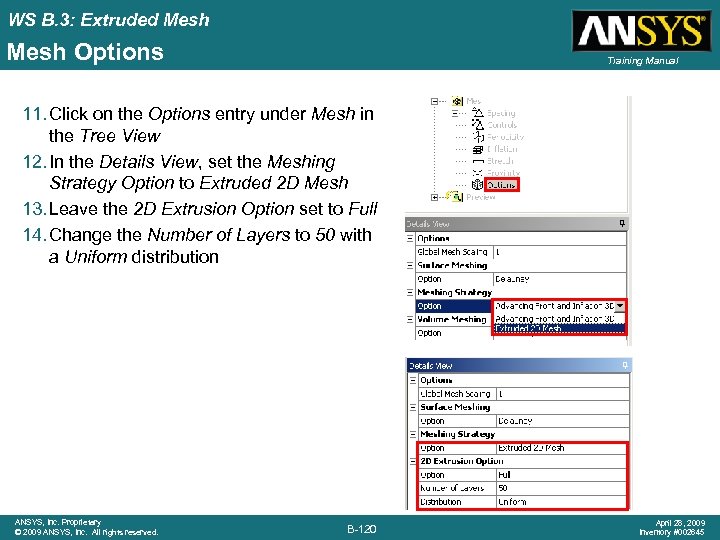 WS B. 3: Extruded Mesh Options Training Manual 11. Click on the Options entry