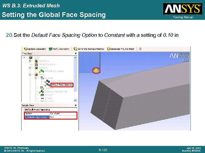 WS B. 3: Extruded Mesh Setting the Global Face Spacing Training Manual 20. Set