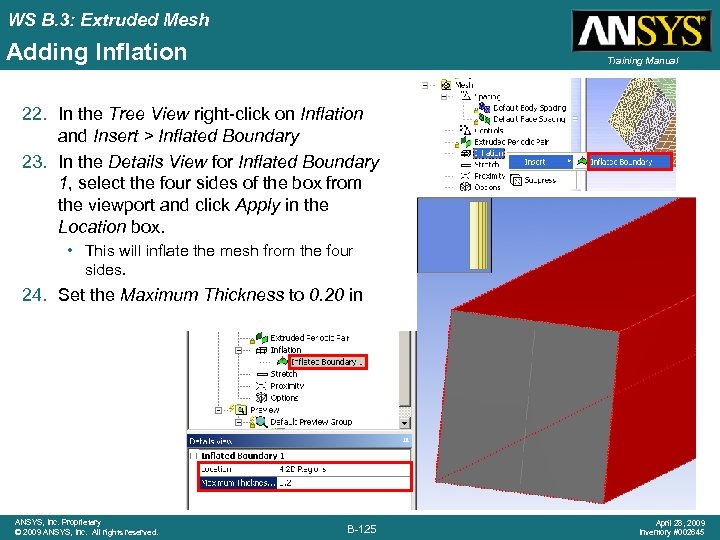 WS B. 3: Extruded Mesh Adding Inflation Training Manual 22. In the Tree View