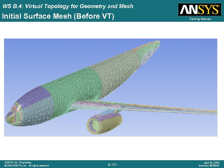 WS B. 4: Virtual Topology for Geometry and Mesh Initial Surface Mesh (Before VT)