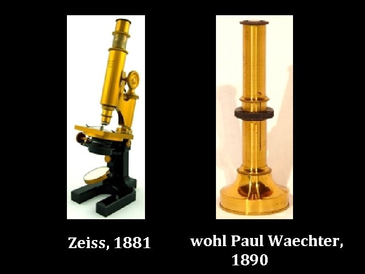 Zeiss, 1881 wohl Paul Waechter, 1890 