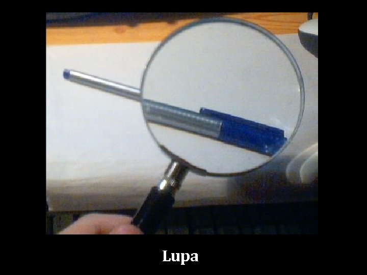 Lupa 