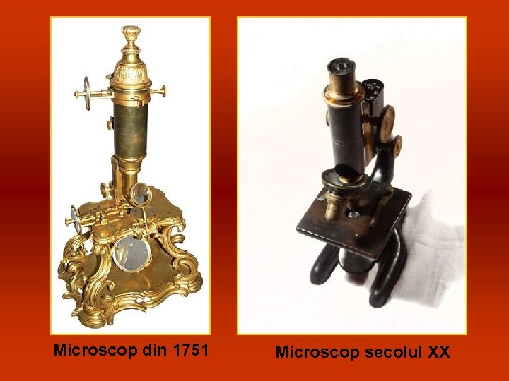 Microscop din 1751 Microscop secolul XX 