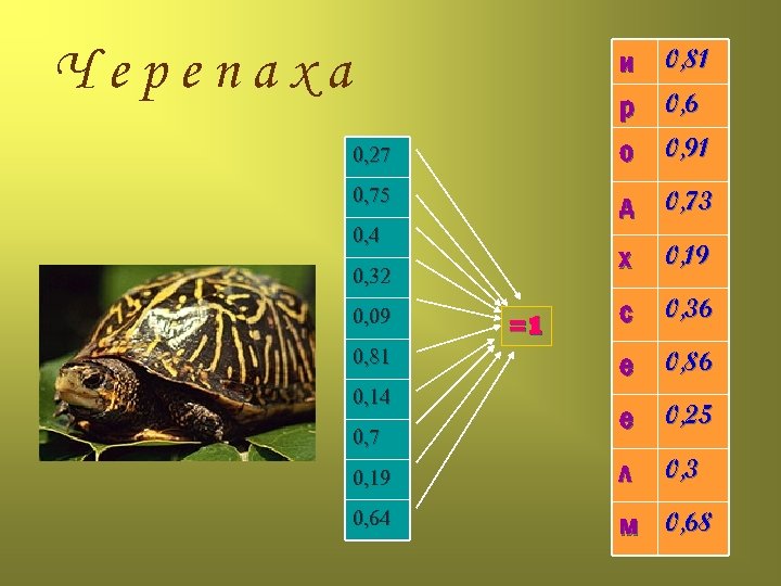 Черепаха и 0, 81 р 0, 6 о 0, 91 0, 27 0, 75
