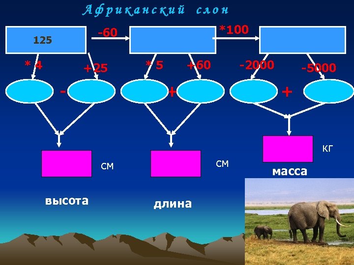 Африканский слон *100 -60 125 *4 +25 - *5 +60 -2000 + -5000 +