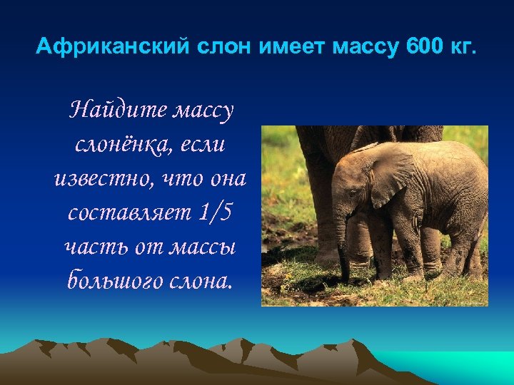 Африканский слон имеет массу 600 кг. Найдите массу слонёнка, если известно, что она составляет