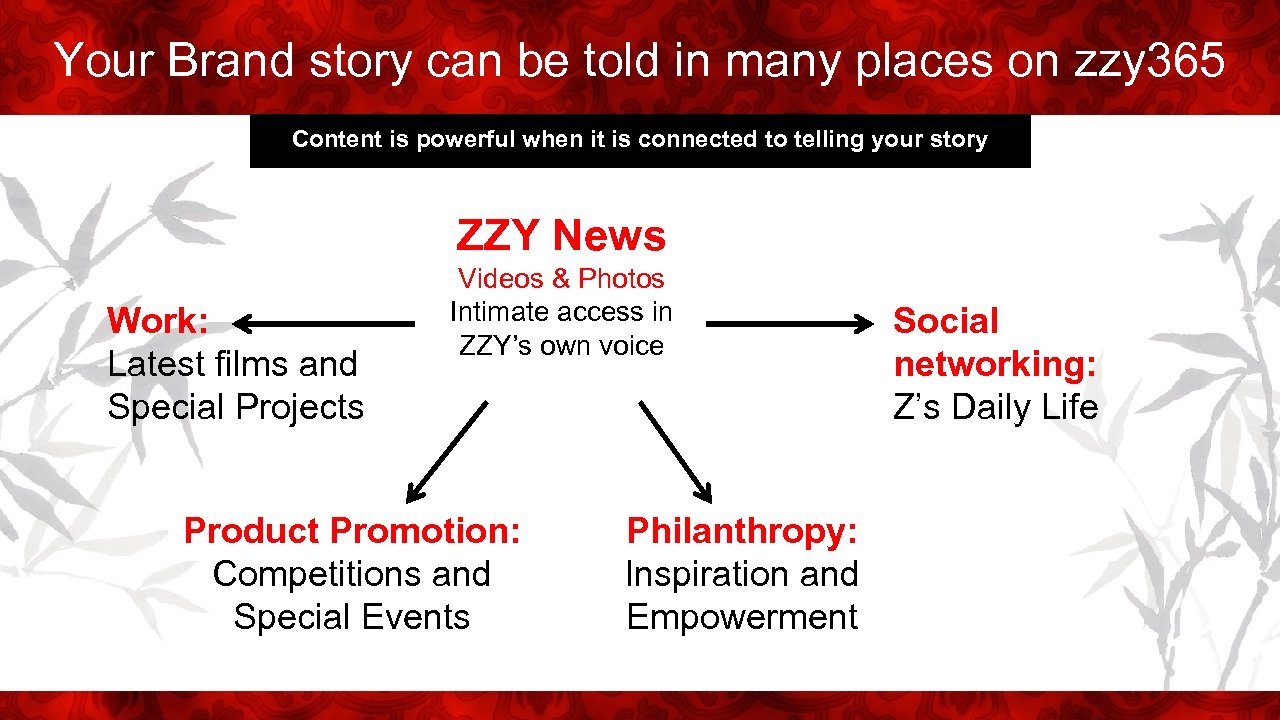 Your Brand story can be told in many places on zzy 365 Content is