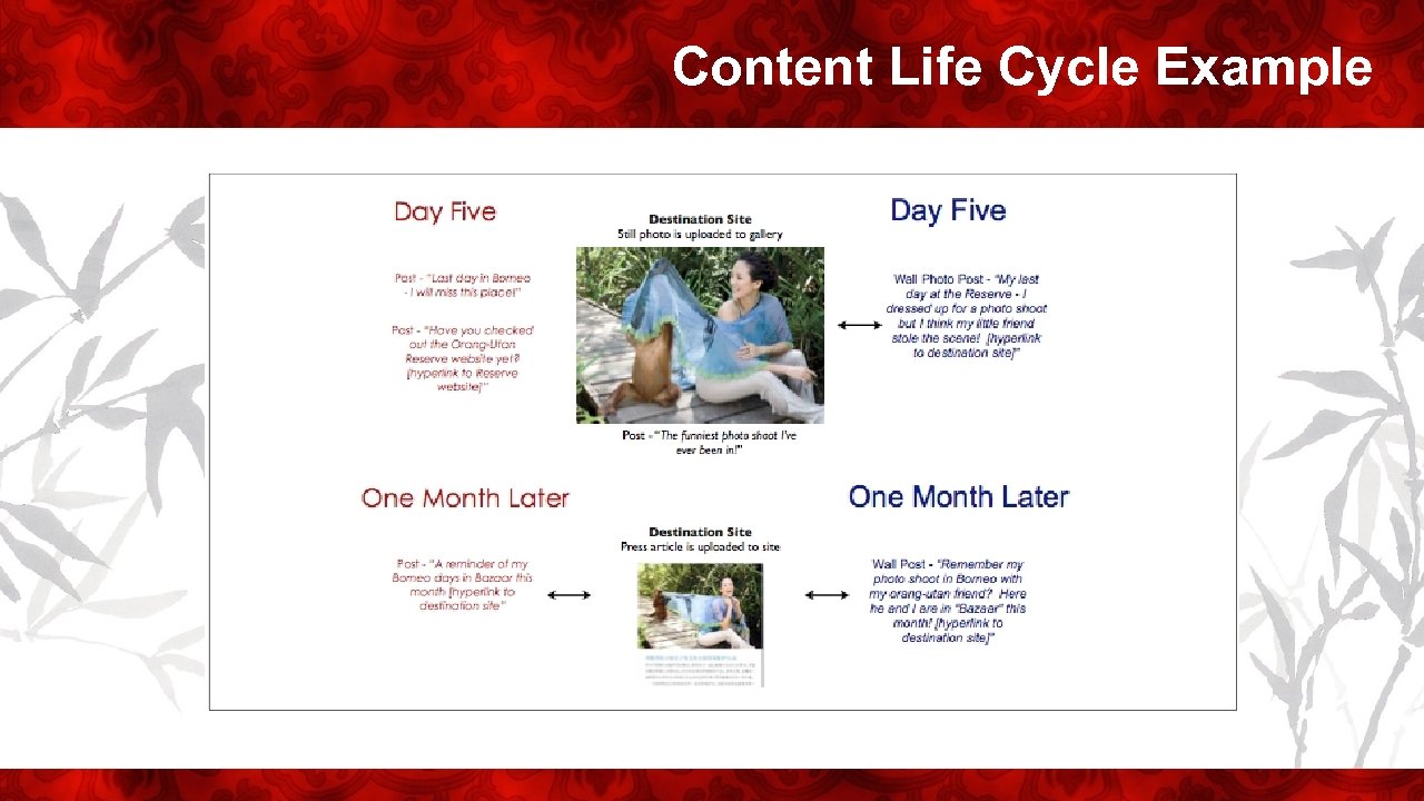 Content Life Cycle Example 