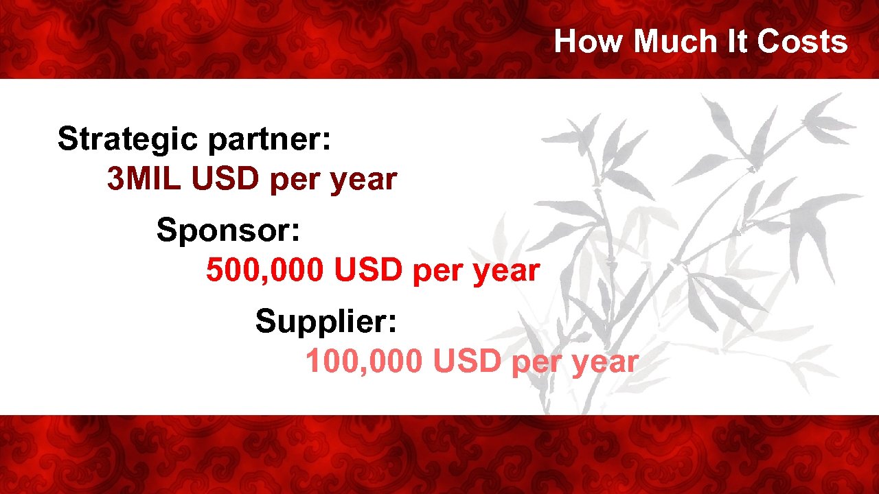 How Much It Costs Strategic partner: 3 MIL USD per year Sponsor: 500, 000