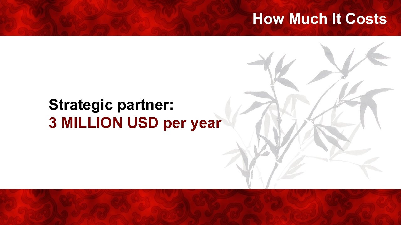 How Much It Costs Strategic partner: 3 MILLION USD per year 