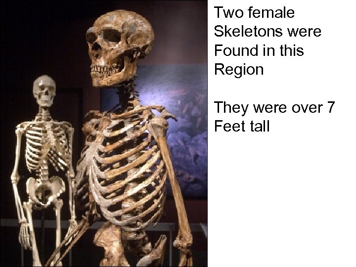 Two female Skeletons were Found in this Region They were over 7 Feet tall