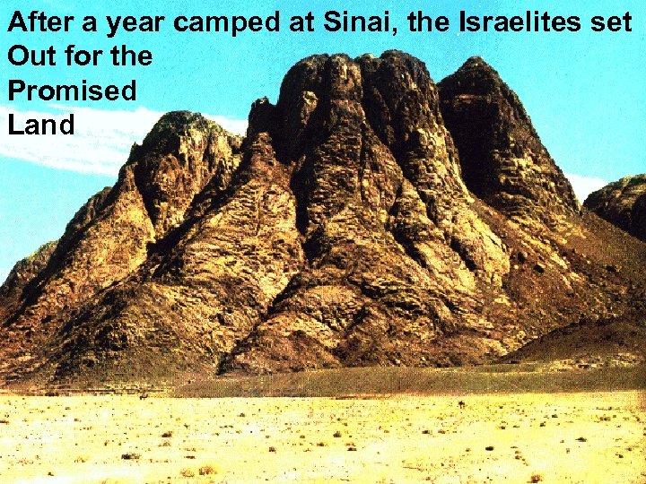 After a year camped at Sinai, the Israelites set Out for the Promised Land