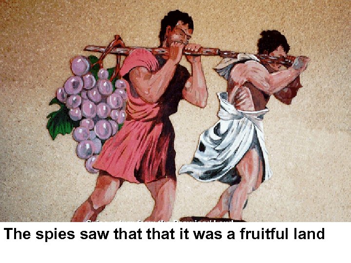 The spies saw that it was a fruitful land 