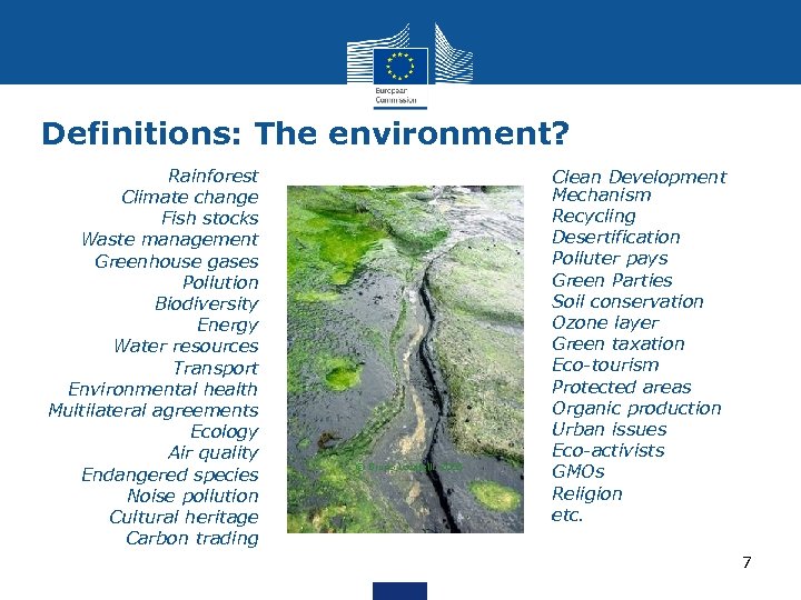 Definitions: The environment? • Rainforest • Climate change • Fish stocks • Waste management