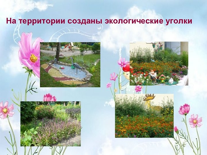 На территории созданы экологические уголки 