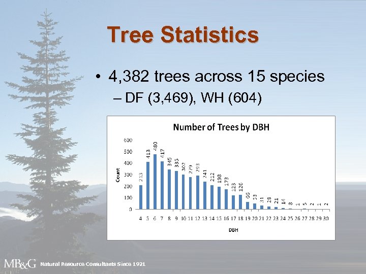 Tree Statistics • 4, 382 trees across 15 species – DF (3, 469), WH