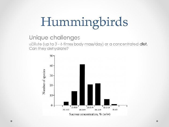 Hummingbirds Unique challenges o. Dilute (up to 3 - 6 times body mass/day) or