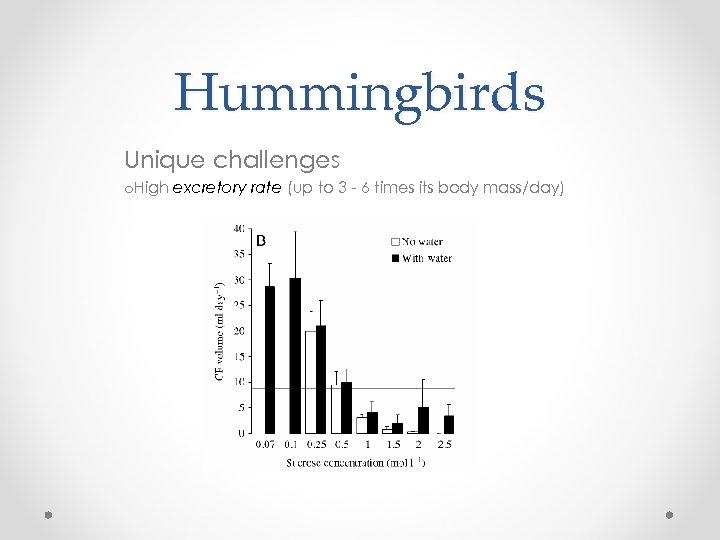 Hummingbirds Unique challenges o. High excretory rate (up to 3 - 6 times its