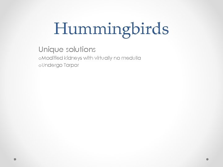 Hummingbirds Unique solutions o. Modified kidneys with virtually no medulla o. Undergo Torpor 
