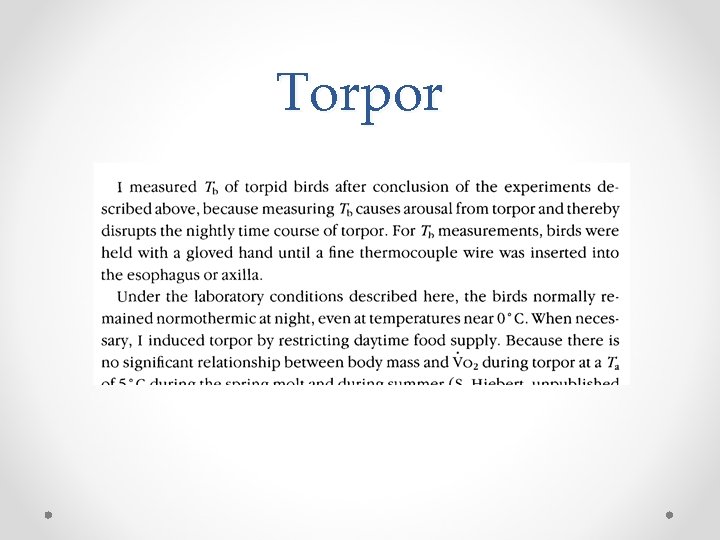 Torpor 