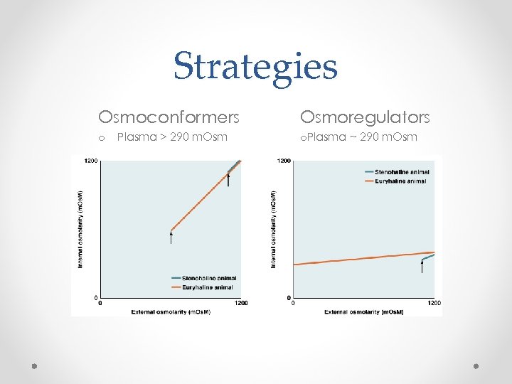Strategies Osmoconformers o Plasma > 290 m. Osmoregulators o. Plasma ~ 290 m. Osm
