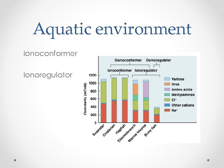 Aquatic environment Ionoconformer Ionoregulator 