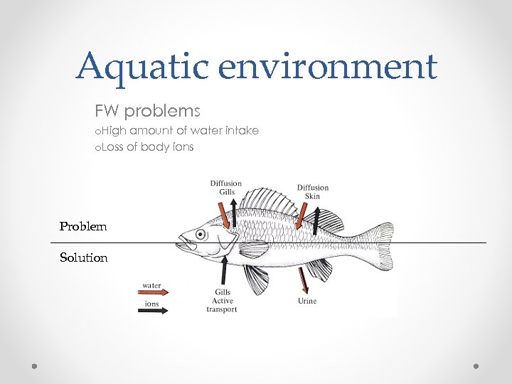 Aquatic environment FW problems o. High amount of water intake o. Loss of body