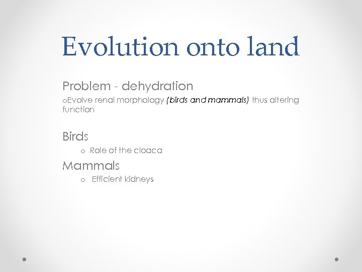 Evolution onto land Problem - dehydration o. Evolve renal morphology (birds and mammals) thus